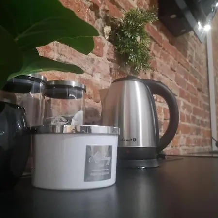 Studio W Srodmiesciu Apartman Łódź