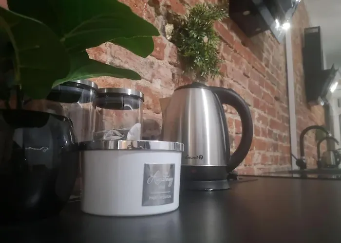 Studio W Srodmiesciu Apartman Łódź