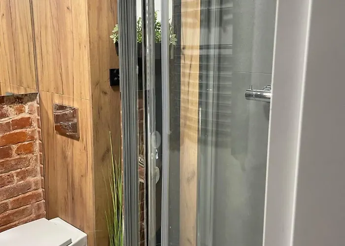 Studio W Srodmiesciu Łódź